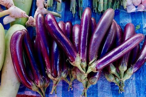 21 of the Best Japanese Eggplant Varieties | Gardener’s Path