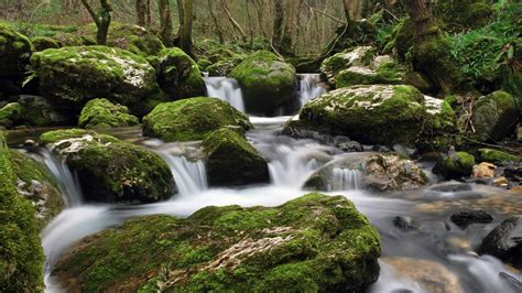 river, Nature, Landscape, Water, Waterfall, Long Exposure, Rock, Moss, Trees, Forest, Stream ...