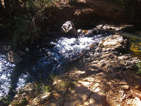 Burbling White Water Over Rocks Free Stock Photo - Public Domain Pictures