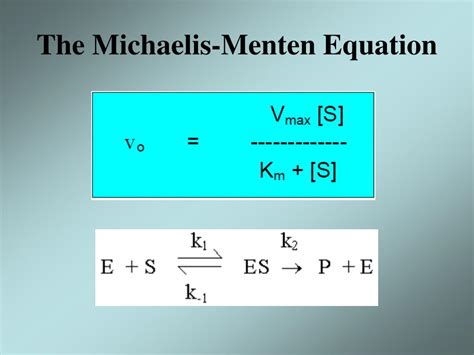 PPT - Enzyme Kinetic PowerPoint Presentation - ID:305372