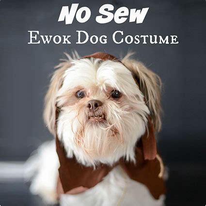 Easy-Ewok-Dog-Costume-Tutorial - Costume Yeti