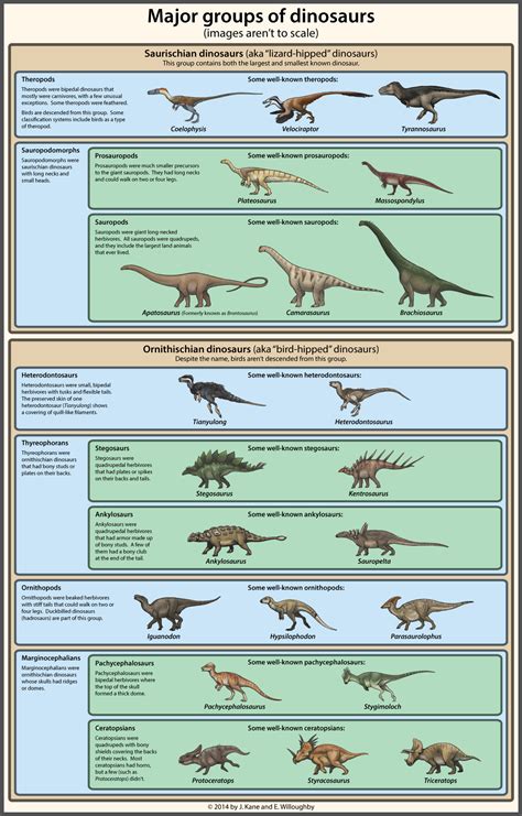 Dinosaur Classification Simplified - Imgur | Dinosaur facts, Dinosaur, Prehistoric animals