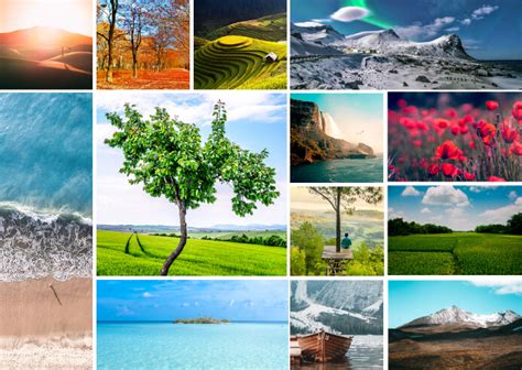 Copy of Wonderful Nature Collage | PosterMyWall