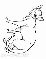 Sphynx Cat Coloring Book Page sketch template