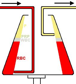 Apheresis