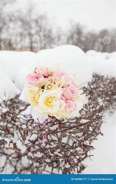 Bridal Bouquet of Pink Color from Roses in Snow Stock Image - Image of ...