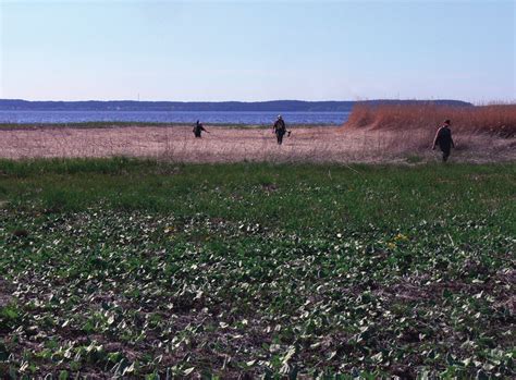 The Tyrai coastal meadows: until the mid 1990s this was the most... | Download Scientific Diagram