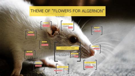 Flowers For Algernon Theme Statement | Best Flower Site