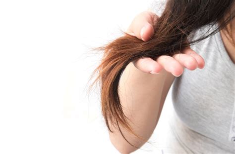 9 ways to fix dry, damaged hair - National | Globalnews.ca