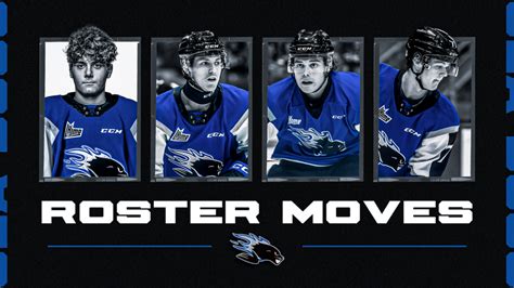 Sea Dogs announce roster moves following conclusion of QMJHL trade ...