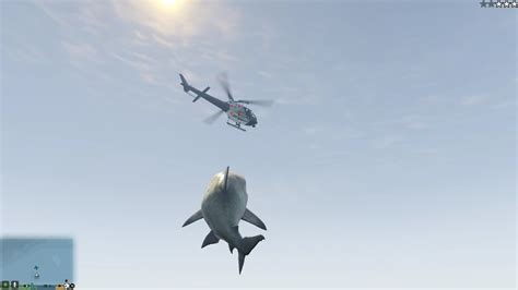 GTA 5 - Shark script mod (Maneater/Jaws Unleashed inspired) - YouTube