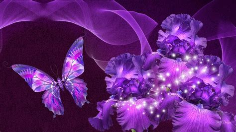 Pink and Purple Butterfly Wallpaper (65+ images)