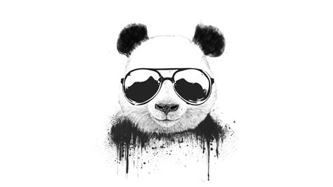 4K Panda Wallpapers - Top Free 4K Panda Backgrounds - WallpaperAccess