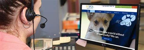 BC SPCA launches new animal abuse hotline | BC SPCA