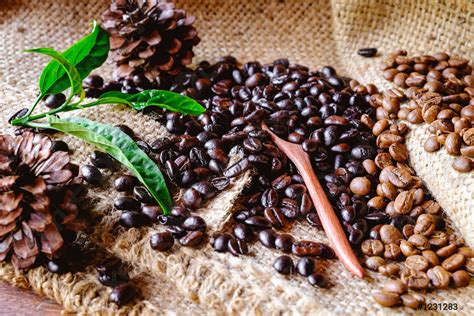 Quali sono le caratteristiche del caffè biologico? Una semplice guida ...