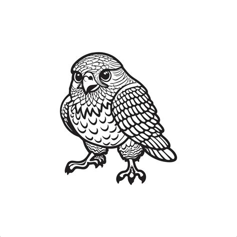 Red tailed-Hawk cartoon coloring page illustration vector for kids coloring book 35298750 Vector ...