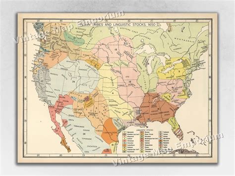 US Map of Native American Indian Tribes & Linguistic Stocks - Etsy