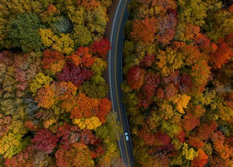 The Perfect Spots To View Fall Foliage Right Now in West Virginia ...