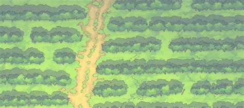 Vineyard Battle Map | Fantasy Maps & Assets from 2-Minute Tabletop