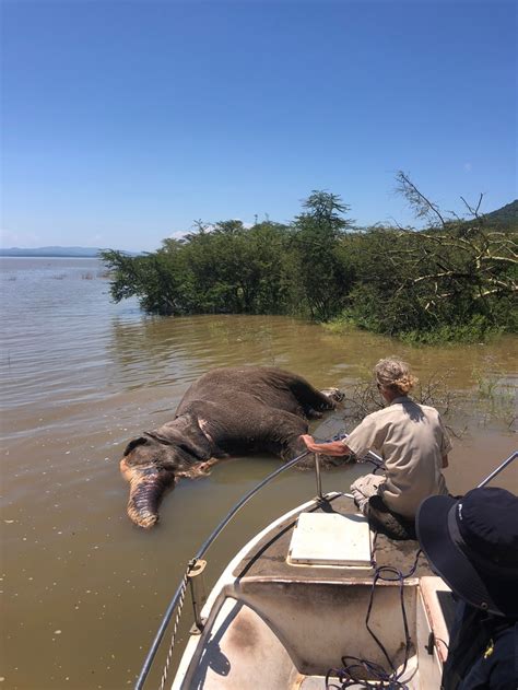 Jozini Dam cruise turns into nightmare excursion as poachers fire at guests | News24