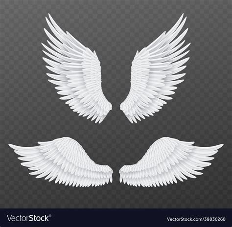 Realistic wings beautiful isolated angel Vector Image