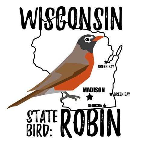 Wisconsin State Bird - Bird Watching Academy