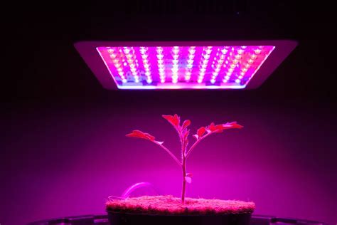 Mars Hydro 300W LED Grow Light Review: Things You should know before picking