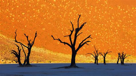 Photo of Namib-Naukluft National Park in Namibia Looks Like a Painting ...