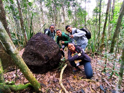 Nature & Culture Madagascar