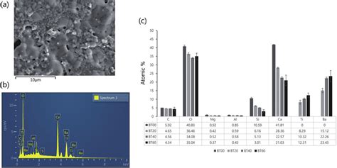 Characteristics of prepared specimen. (a) Representative SEM images ...