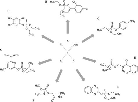 Basic structure of organophosphorus insecticides (a) and examples of ...