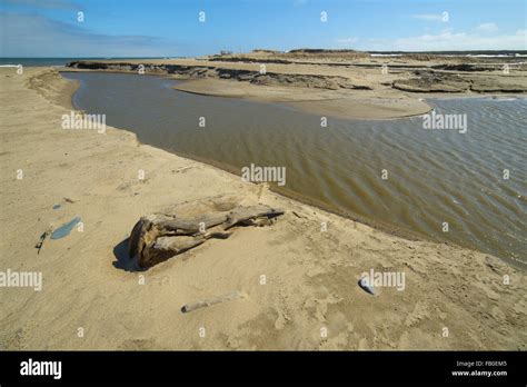 Nature and wildlife of the northern part of Sakhalin Island, Russia. Landscapes, seascapes ...