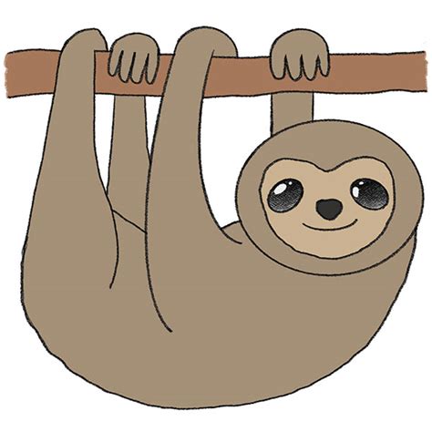 Three Toed Sloth Drawing