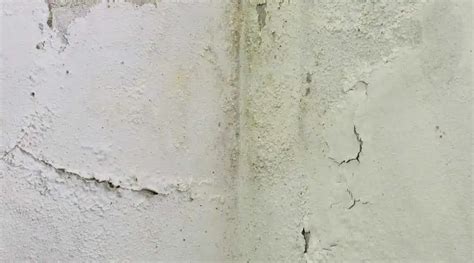 Detecting Water Damage in Stucco: 7 Key Indicators