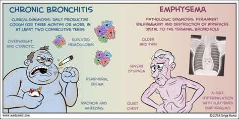 COPD: Pink Puffer (emphysema) vs Blue Bloater... | Art of a PA-C