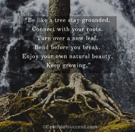 200+ Roots Quotes and Never Forget Your Roots Sayings