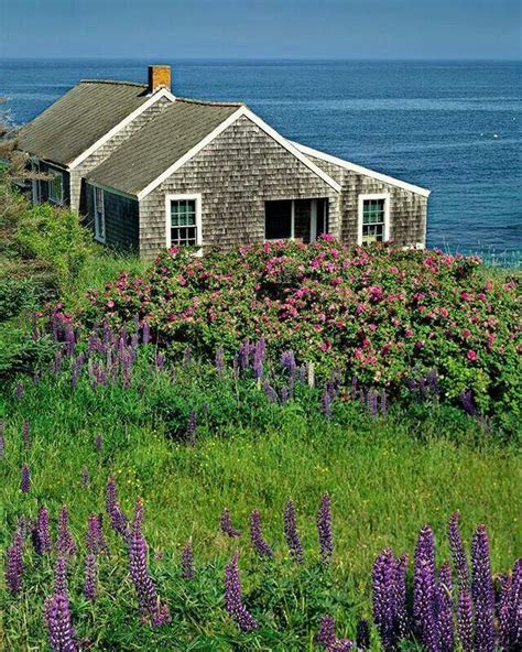 Pin by Sandi Conser on Cozy cottage | Beach cottages, Seaside cottage, Cottage