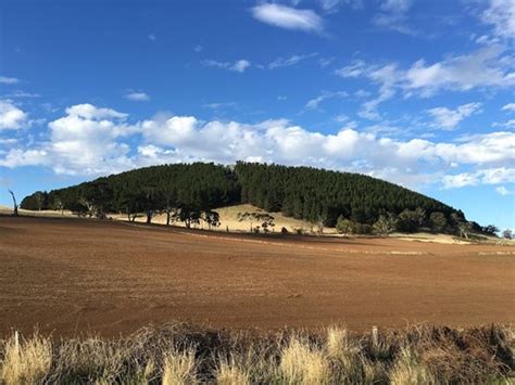 Explore Mt Franklin Reserve, Mount Franklin, Vic