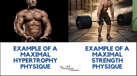 Is Training to Muscle Failure Necessary for Hypertrophy? - Muscleopolis