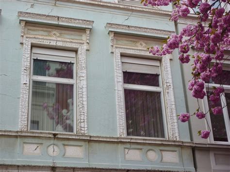 Bonn Cherry Blossoms – Bonn, Germany - Atlas Obscura