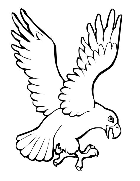 Bird Coloring Pages