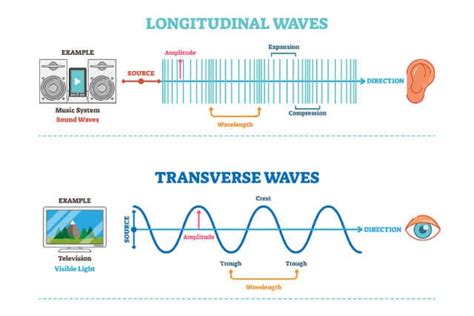 Theory Of Wave Motion: Longitudinal And Transverse Waves