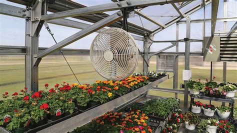 How to Create the Ideal Ventilation System for Your Greenhouse ...