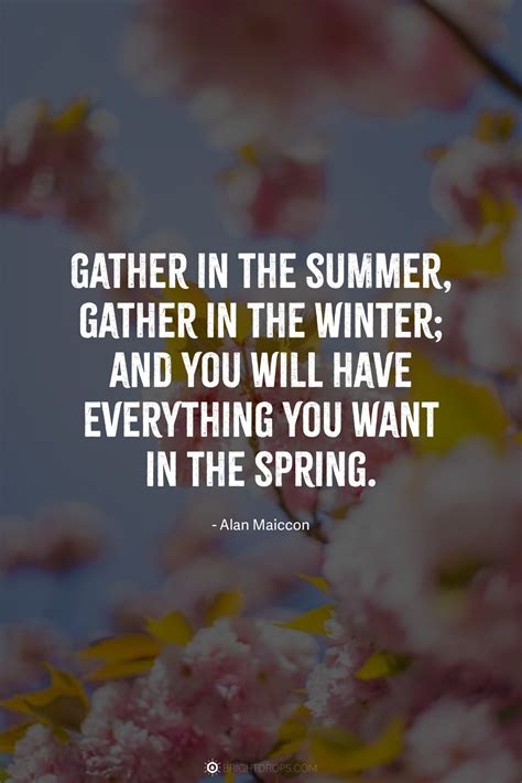 68 Quotes About Spring (With Beautiful Images) - Bright Drops