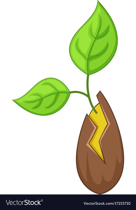 Seed sprouting icon cartoon style Royalty Free Vector Image