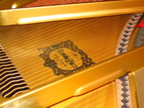 Piano Strings Free Photo Download | FreeImages