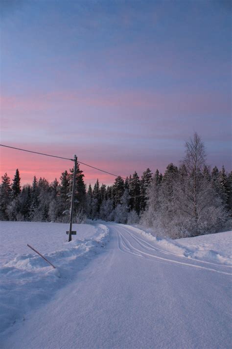 thesoftestcloud:christmas eve sunrise and sunset, 9:10am / 2:27pm