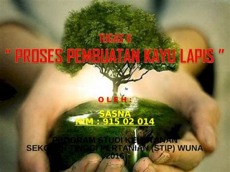 (PPT) Pembuatan kayu lapis - DOKUMEN.TIPS