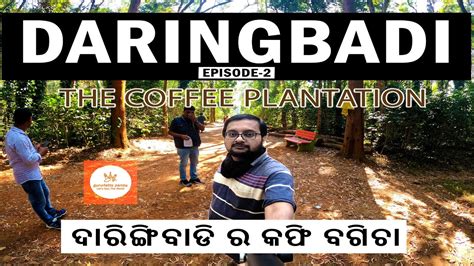 Daringbadi Episode-2 | Coffee Plantation ଦାରିଙ୍ଗବାଡି ର କଫି ବଗିଚା - YouTube