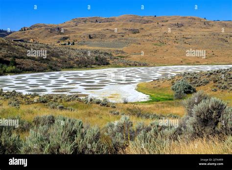 Spotted Lake is a saline endorheic alkali lake located northwest of Osoyoos in the eastern ...